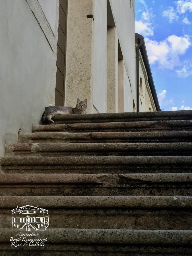 Agriturismo Borgo Buzzaccarini Rocca Di Castello Monselice Ngoại thất bức ảnh